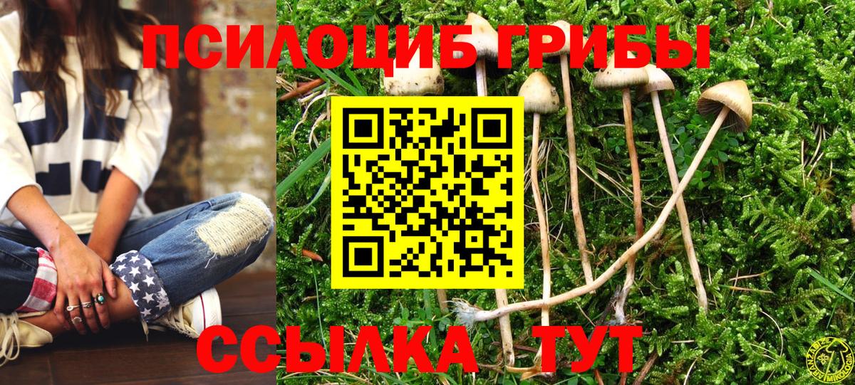 Донской  Галлюциногенные грибы Magic Shrooms  Галлюциногенные грибы Magic Shrooms  Вход с VPN 