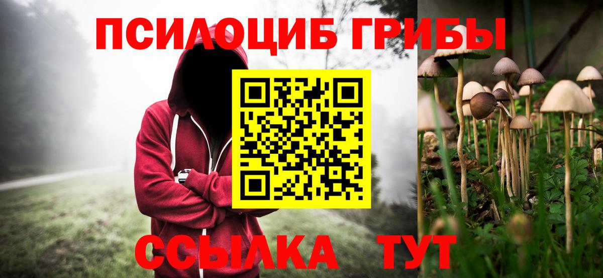 Галлюциногенные грибы мицелий Донской